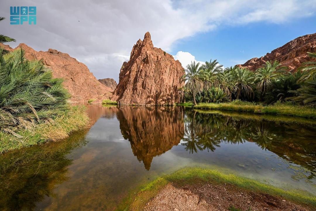 حائل