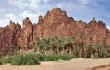 تبوك